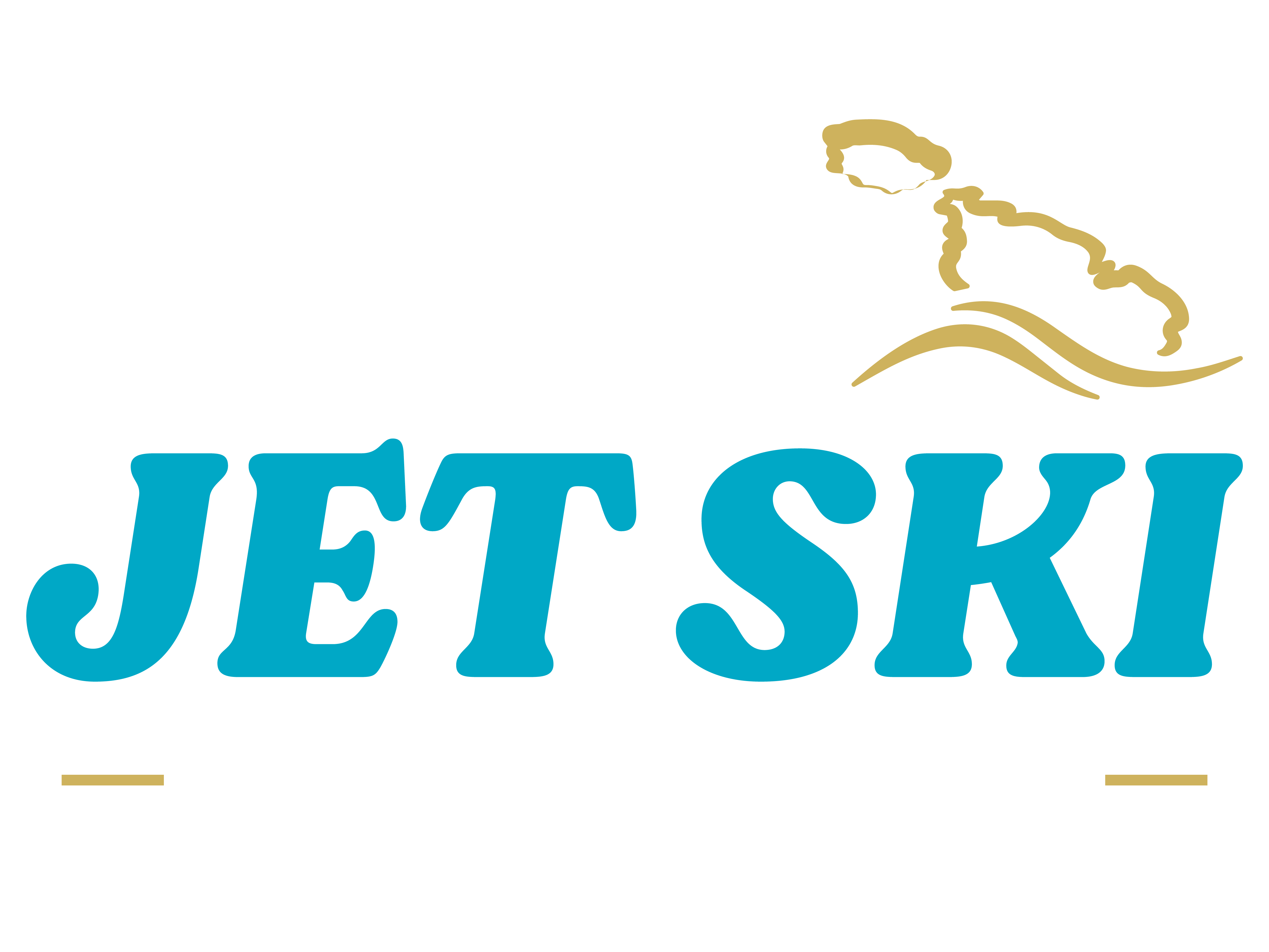Partner Logo
